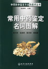 常用中药鉴定名词图解