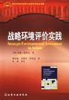 战略环境评价实践