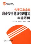 化学工业企业职业安全健康管理体系实施范例