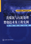 洗煤泥与污泥处理焚烧技术及工程实例