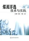 煤泥浮选技术与实践