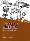 新编装饰图案基础动物图案