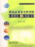 供电企业安全性评价重点问题和整改措施