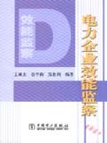 电力企业效能监察
