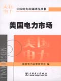 电力市场建设丛书 美国电力市场