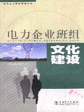 电力企业班组管理丛书 电力企业班组文化建设