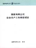 国家电网公司安全生产工作奖惩规定