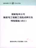 国家电网公司输变电工程施工危险点辨识及预控措施（试行）