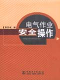 电气作业安全操作
