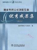 国家电网公司效能监察优秀成果集 2005