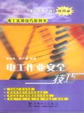 电工实用技巧系列书 电工作业安全技巧