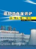 循环流化床锅炉多媒体培训软件