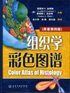 组织学彩色图谱（原著第四版）